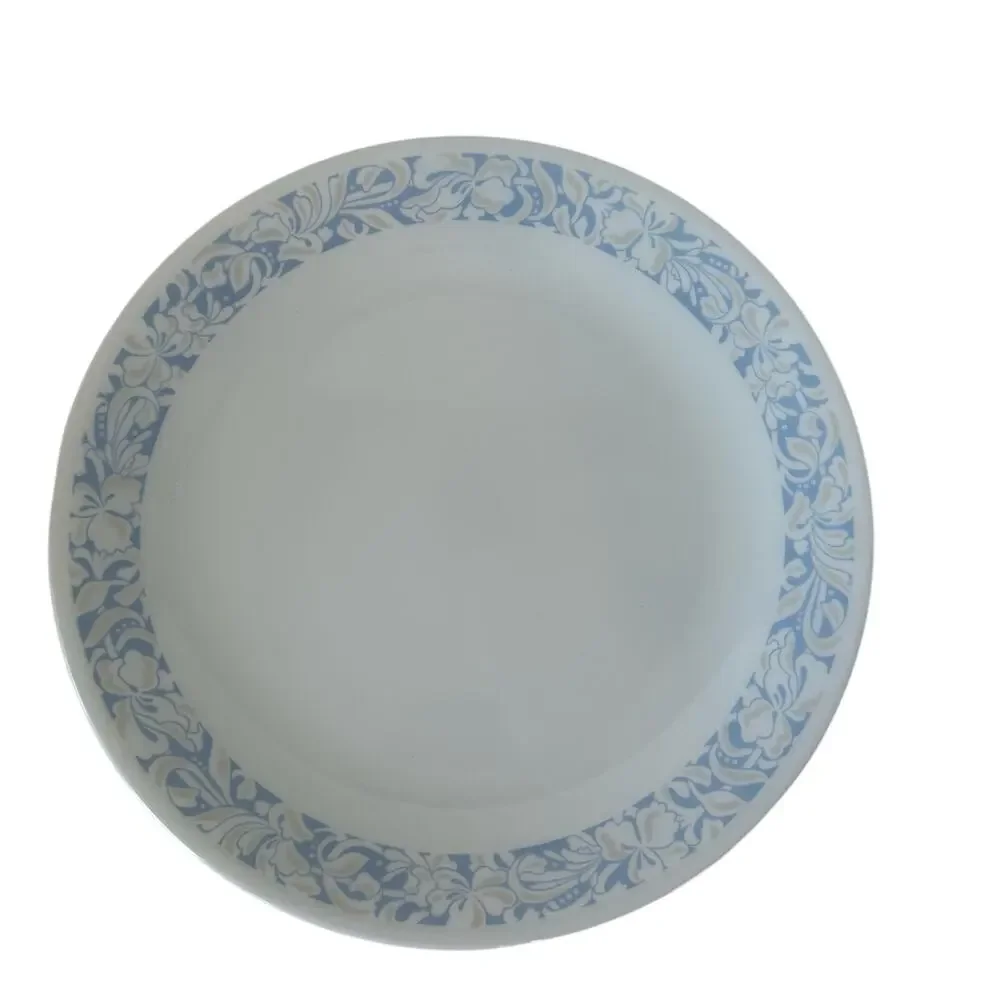 Set of 4 Corelle Sea and Sand Dinner Plates by Corning, plus one FREE